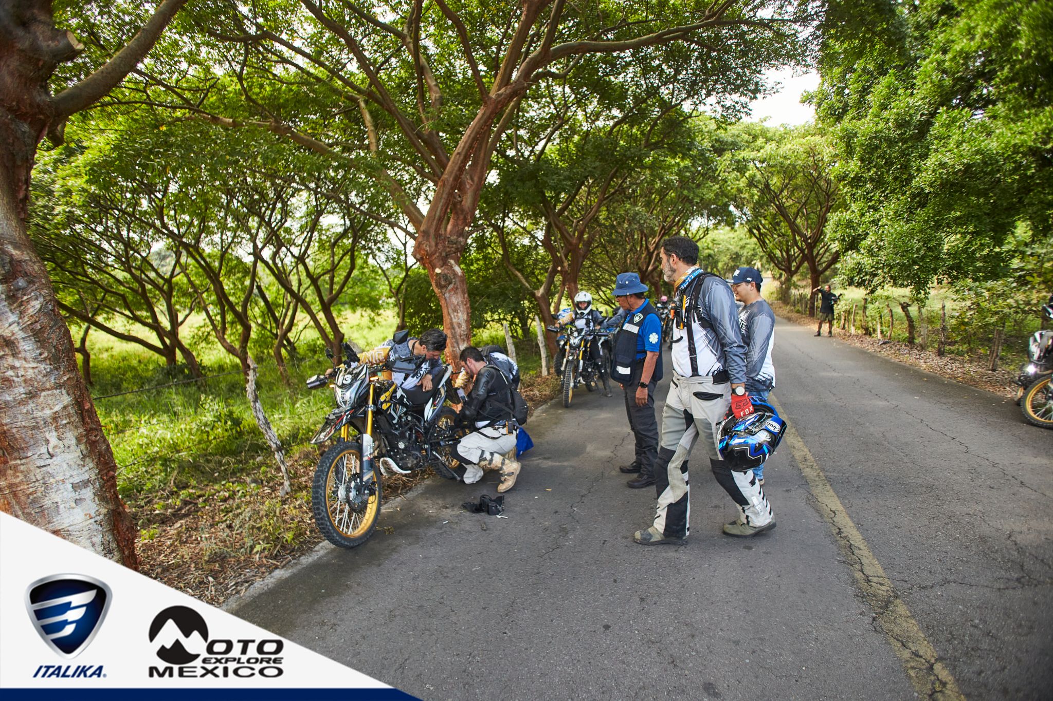 ITALIKA CHACHALACAS D1 237